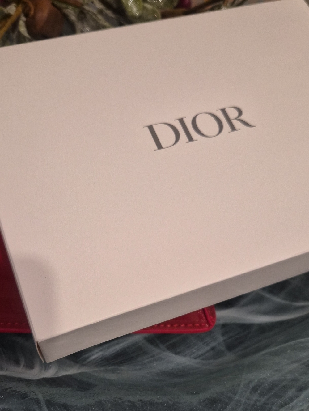 Dior Pouch - Picture 3 of 6